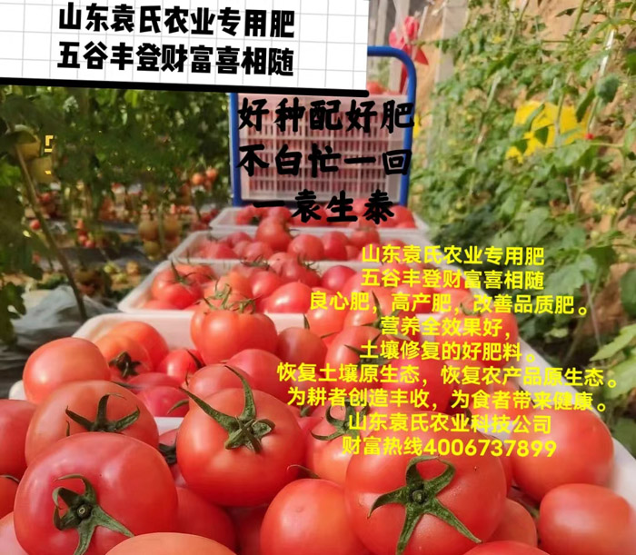 ũ��Ʒʩ��Ч��