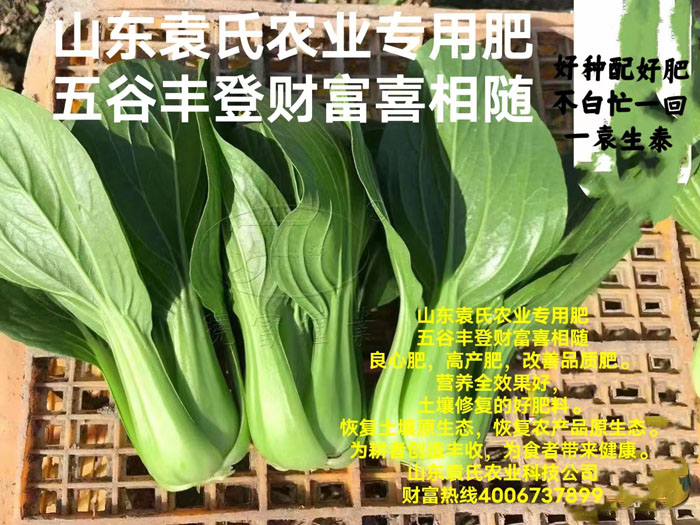 ũ��Ʒʩ��Ч��