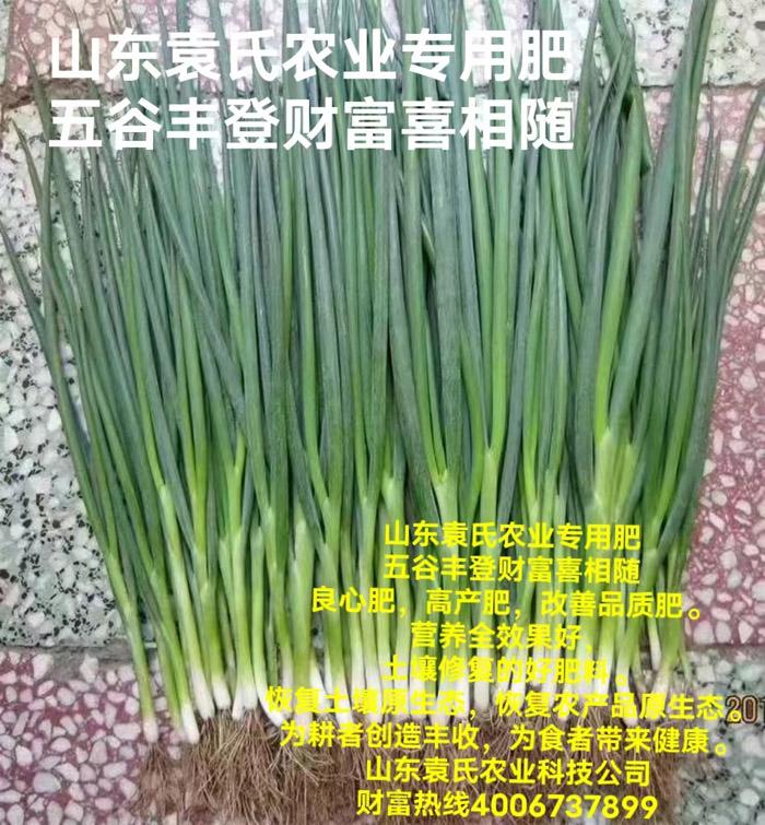 ũ��Ʒʩ��Ч��