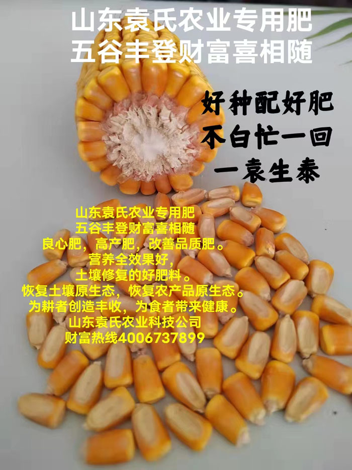 ũ��Ʒʩ��Ч��