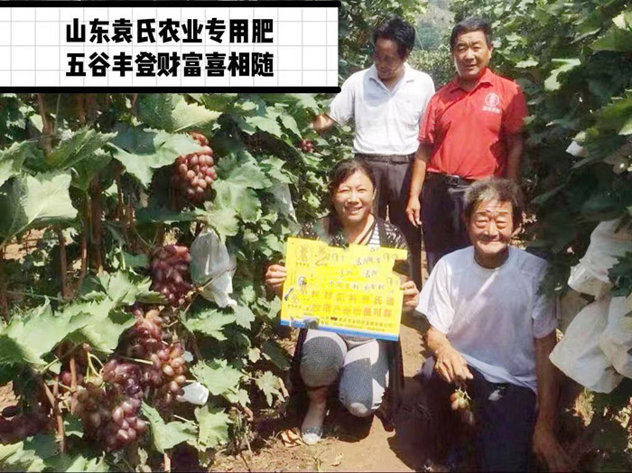 ũ��Ʒʩ��Ч��