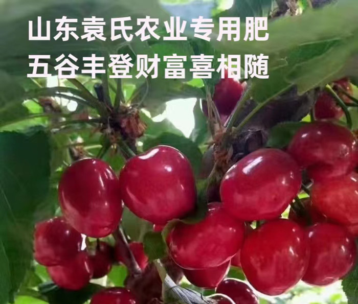 ũ��Ʒʩ��Ч��