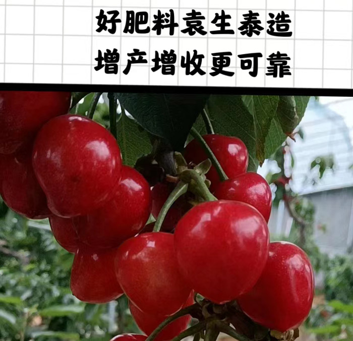 ũ��Ʒʩ��Ч��