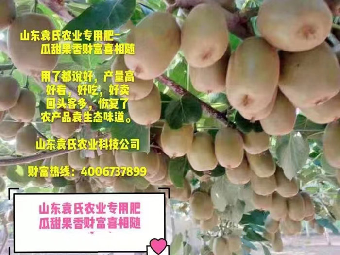 ũ��Ʒʩ��Ч��