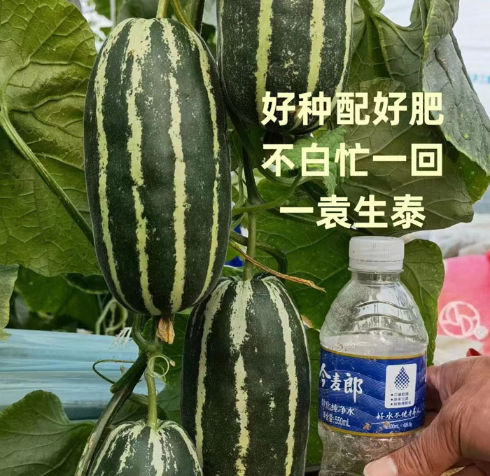 ũ��Ʒʩ��Ч��