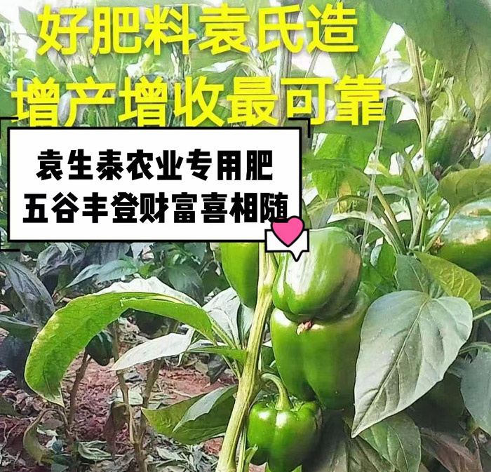 ũ��Ʒʩ��Ч��