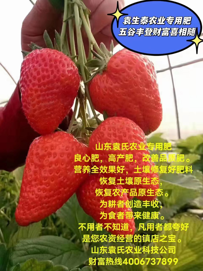 ũ��Ʒʩ��Ч��