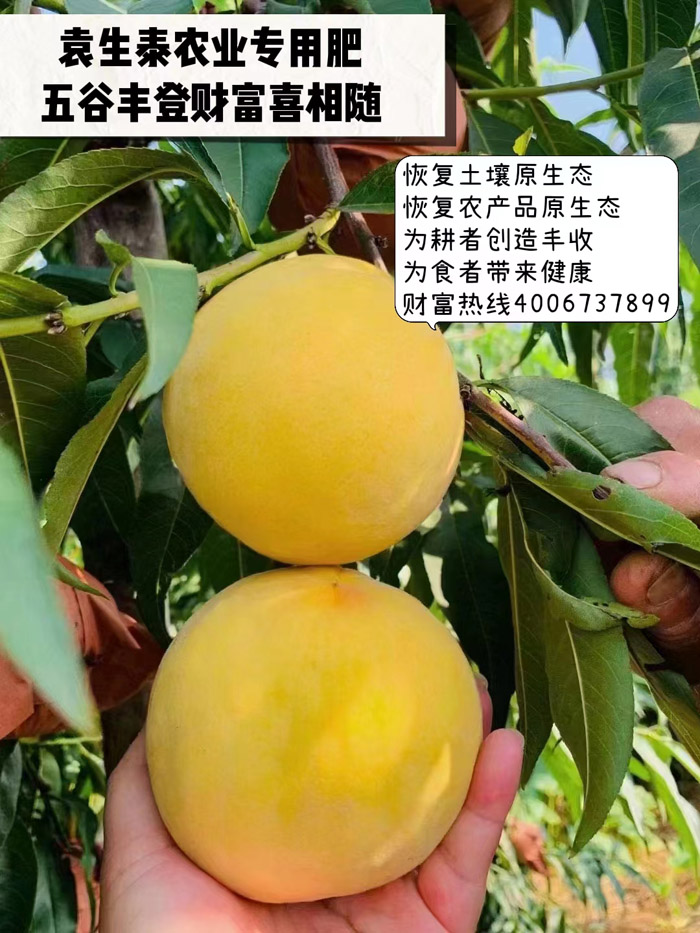 ũ��Ʒʩ��Ч��