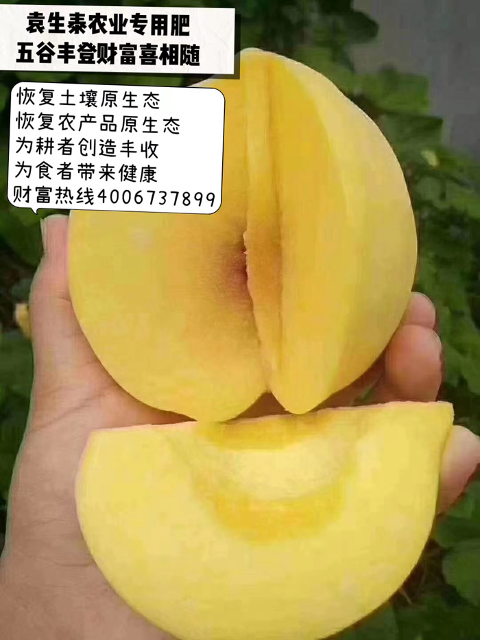 ũ��Ʒʩ��Ч��