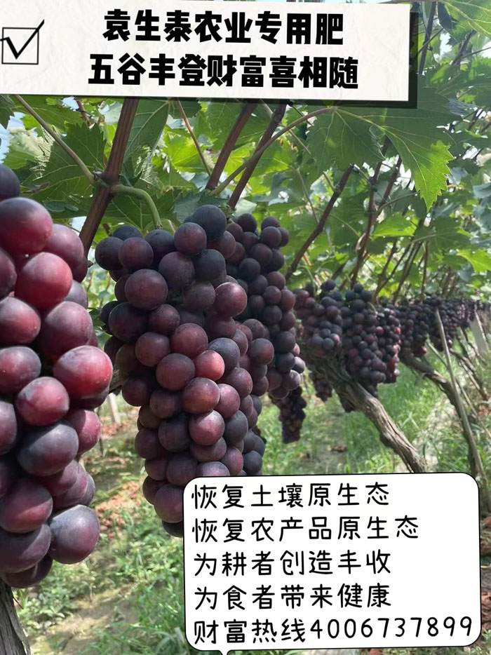 ũ��Ʒʩ��Ч��