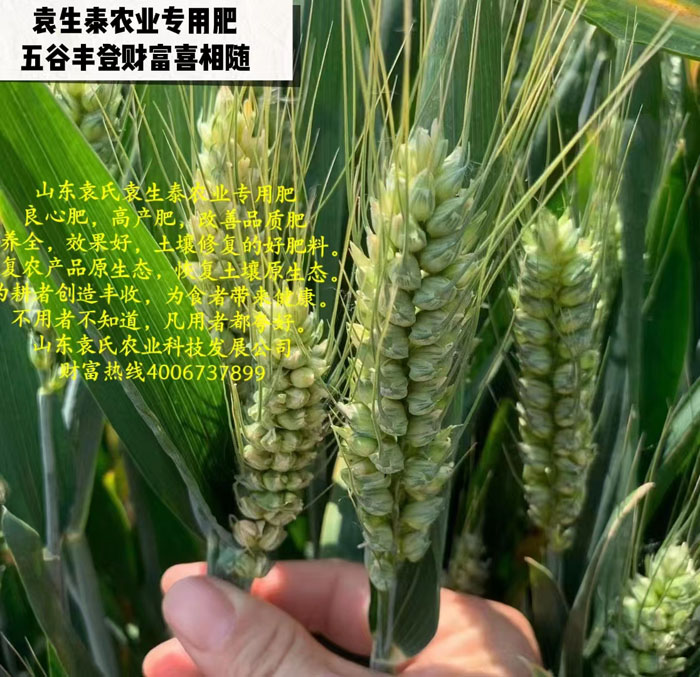 ũ��Ʒʩ��Ч��