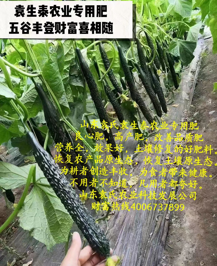 ũ��Ʒʩ��Ч��