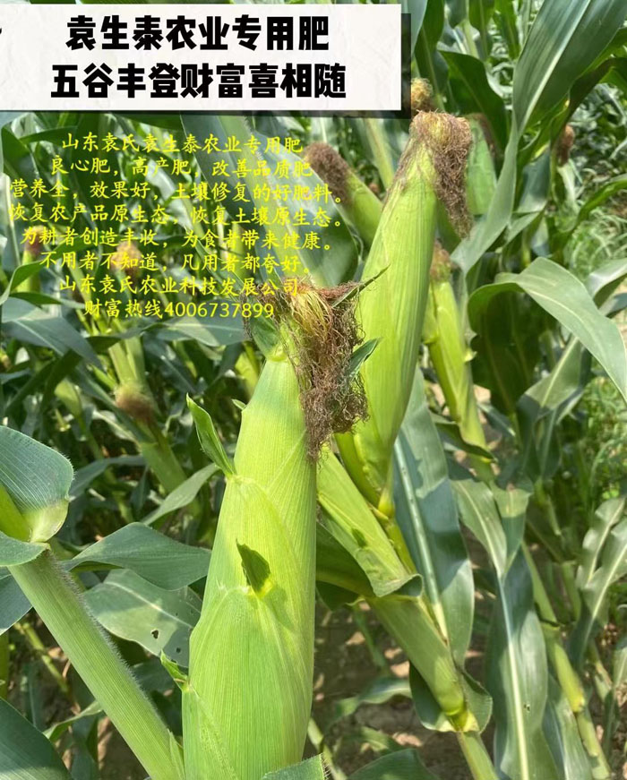 ũ��Ʒʩ��Ч��