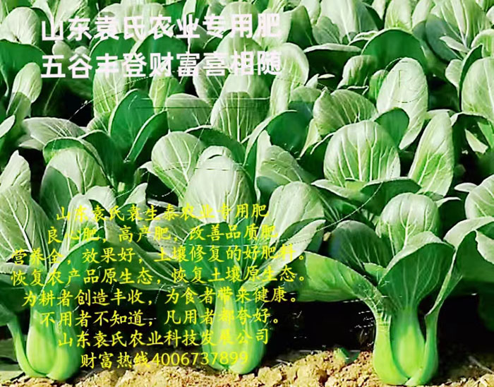 ũ��Ʒʩ��Ч��