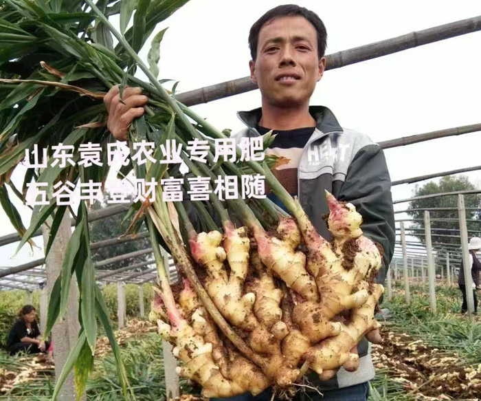 ũ��Ʒʩ��Ч��