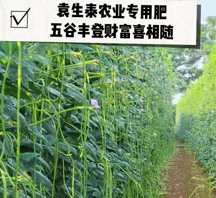 ũ��Ʒʩ��Ч��