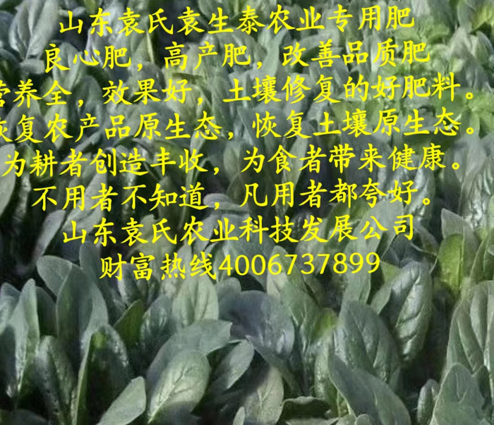 ũ��Ʒʩ��Ч��