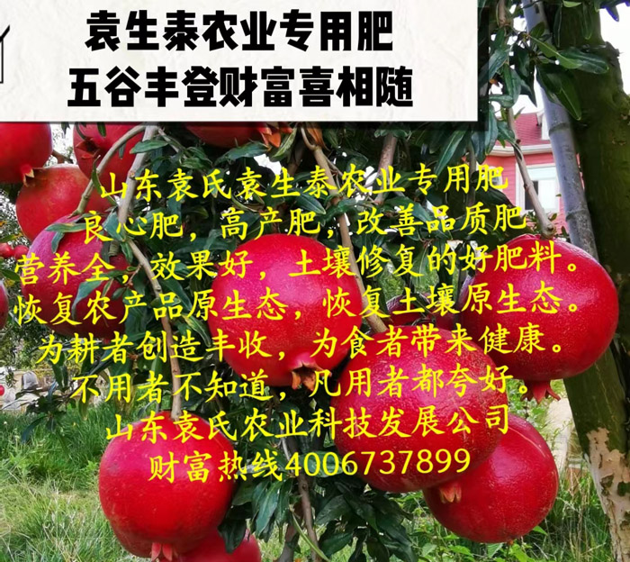 ũ��Ʒʩ��Ч��