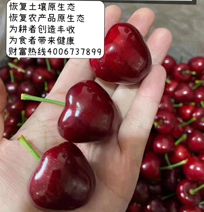 ũ��Ʒʩ��Ч��