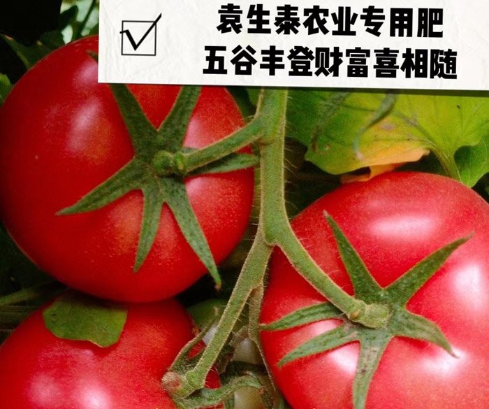 ũ��Ʒʩ��Ч��