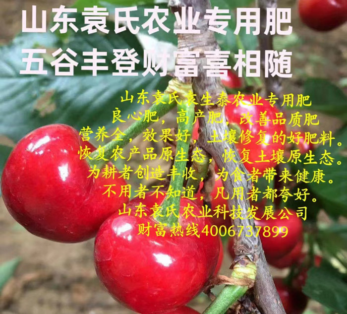 ũ��Ʒʩ��Ч��