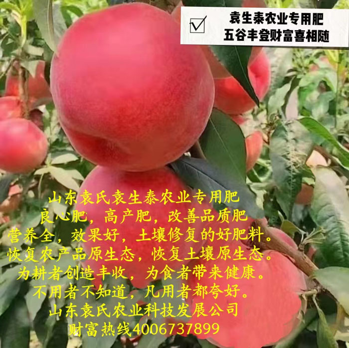 ũ��Ʒʩ��Ч��