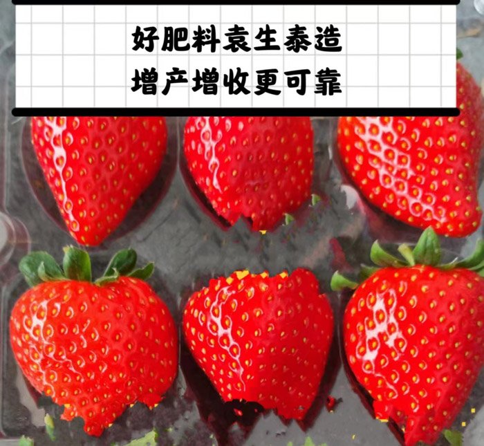 ũ��Ʒʩ��Ч��