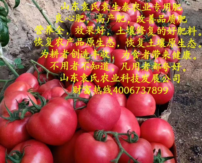 ũ��Ʒʩ��Ч��