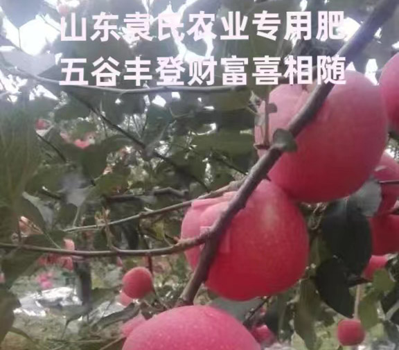 ũ��Ʒʩ��Ч��