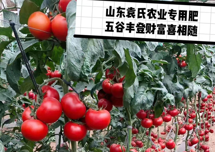 ũ��Ʒʩ��Ч��