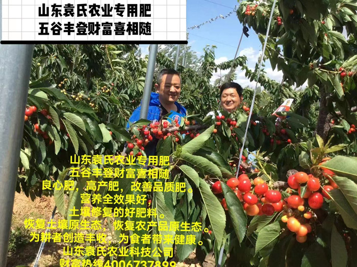 ũ��Ʒʩ��Ч��