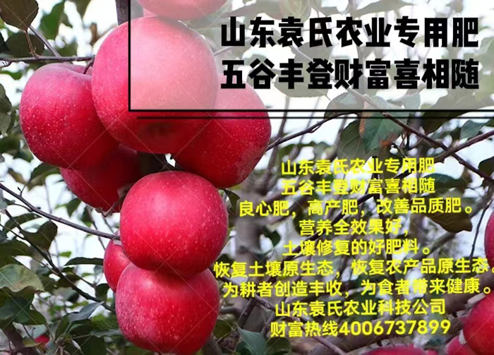 ũ��Ʒʩ��Ч��