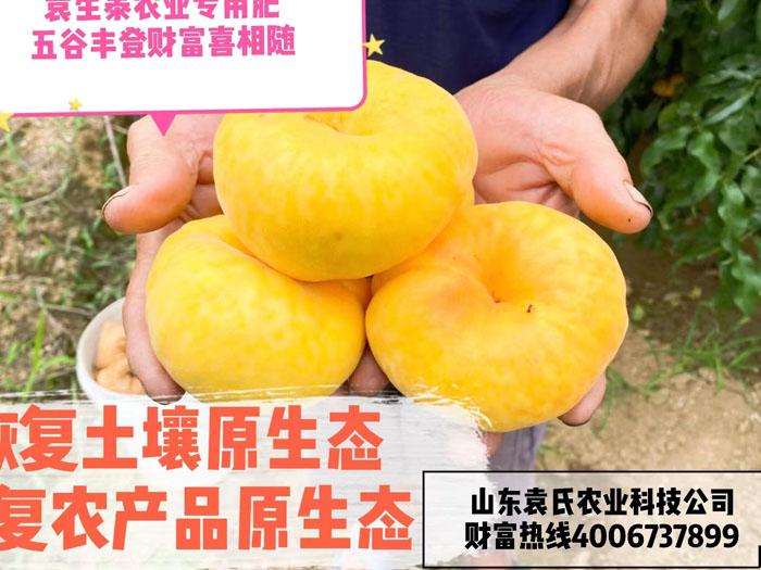 ũ��Ʒʩ��Ч��