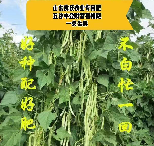 ũ��Ʒʩ��Ч��