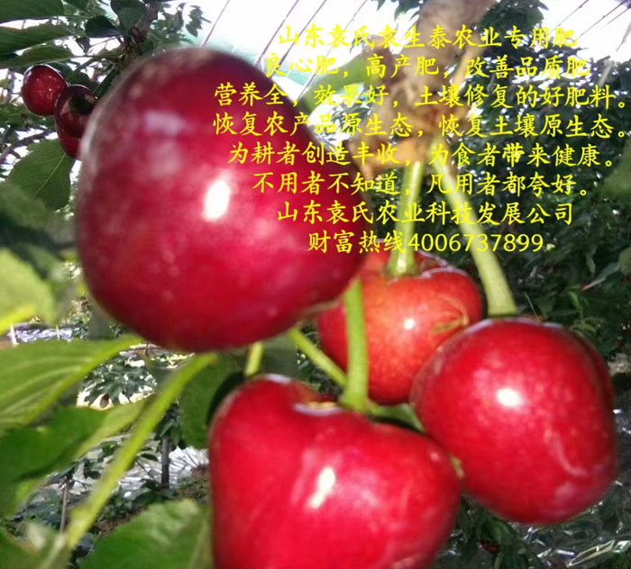 ũ��Ʒʩ��Ч��