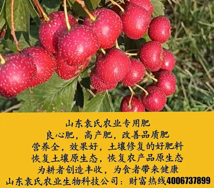 ũ��Ʒʩ��Ч��