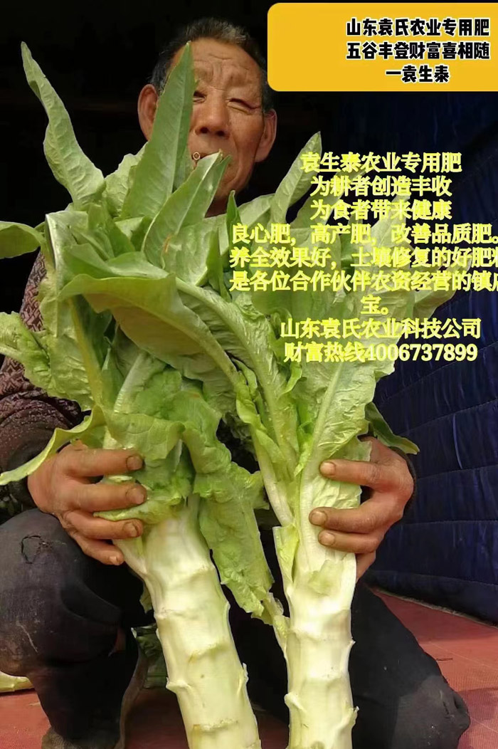 ũ��Ʒʩ��Ч��