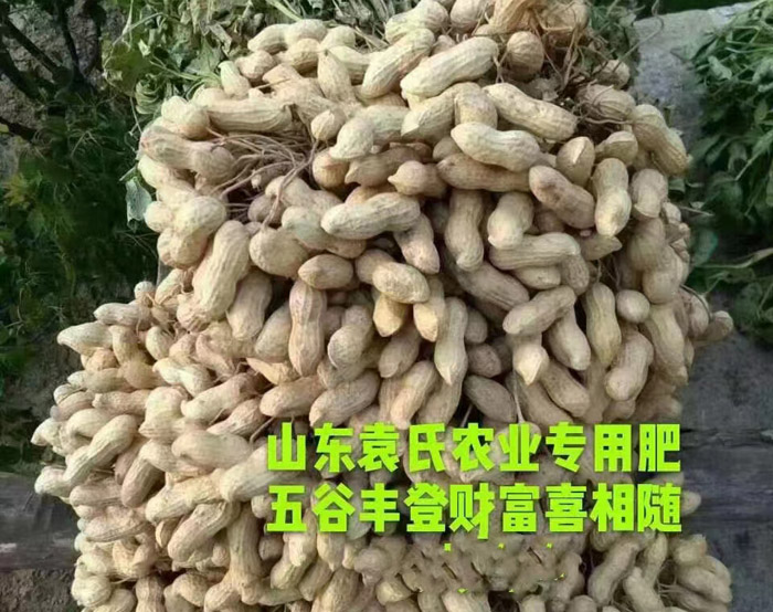 ũ��Ʒʩ��Ч��