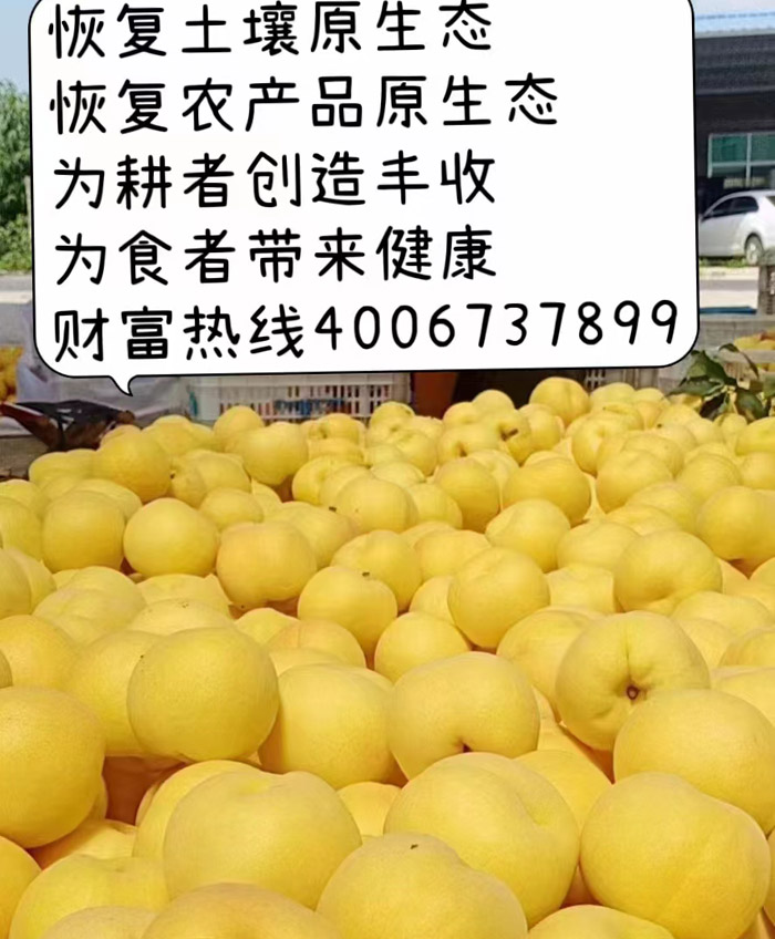 ũ��Ʒʩ��Ч��