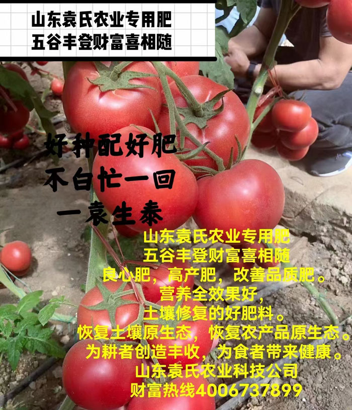 ũ��Ʒʩ��Ч��