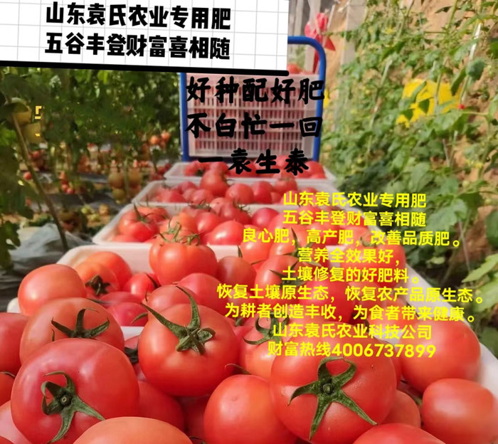 ũ��Ʒʩ��Ч��